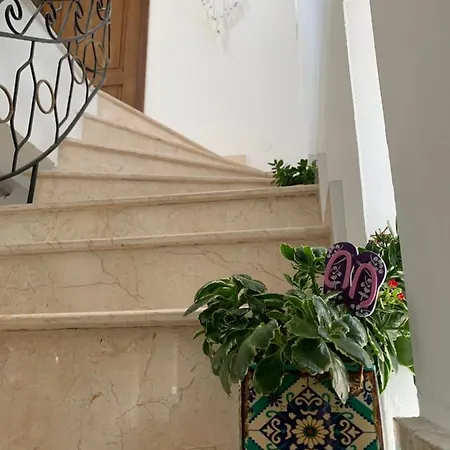 Pensjonat Casa Ruxandrei