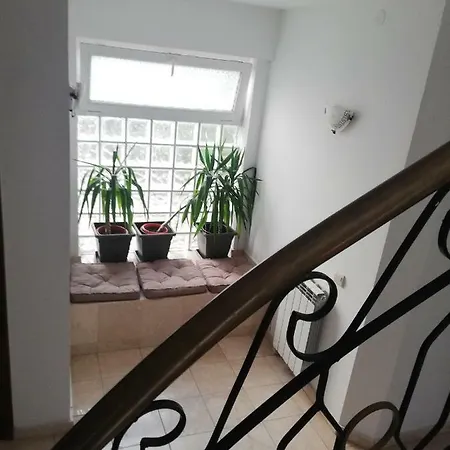 Casa Ruxandrei 3*