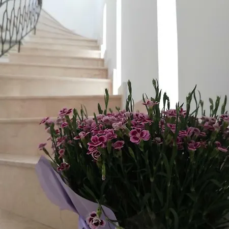 Casa Ruxandrei 3* Constanta