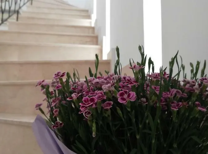 Casa Ruxandrei 3* Constanţa